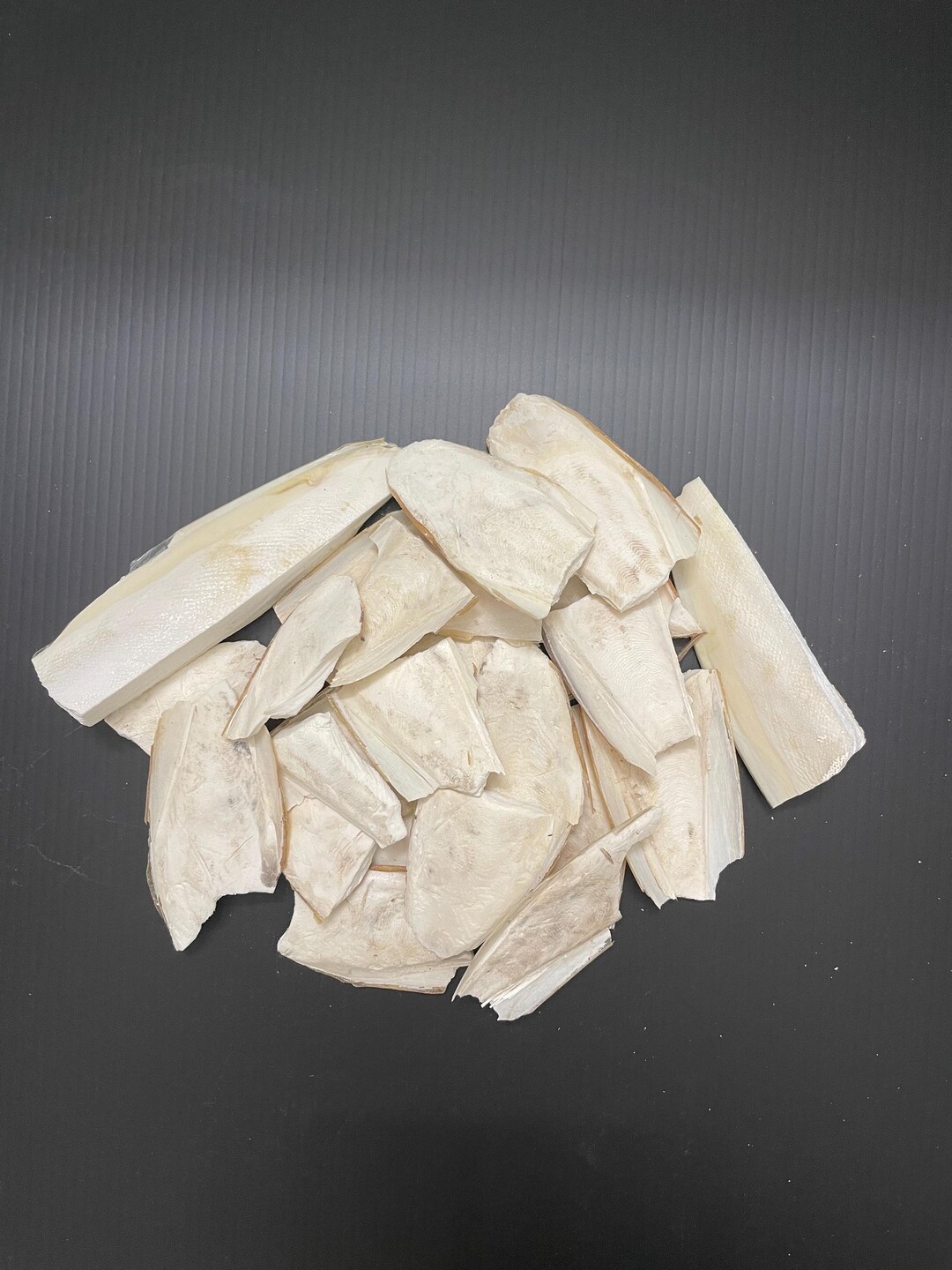 Cuttlefish Bone Chunks