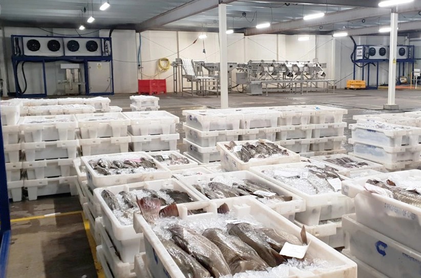 Our cold-storage and processing facility